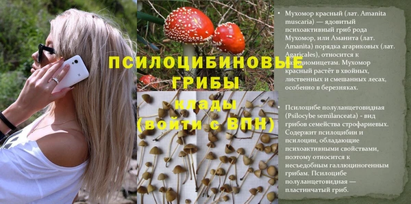 СК Абинск