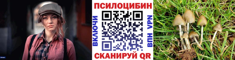 Псилоцибиновые грибы мухоморы  Шарья 